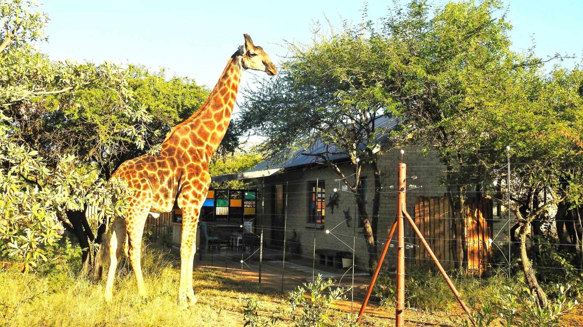 Marulani Bush Lodge Klipdrift Экстерьер фото
